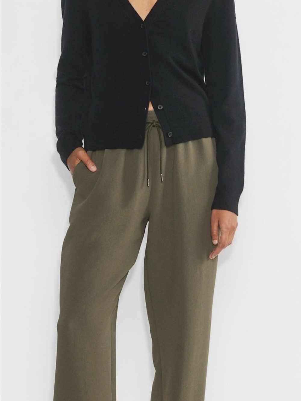 Aritzia Wilfred Thesis Pants